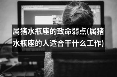 属猪水瓶座的致命弱点(属猪水瓶座的人适合干什么工作)