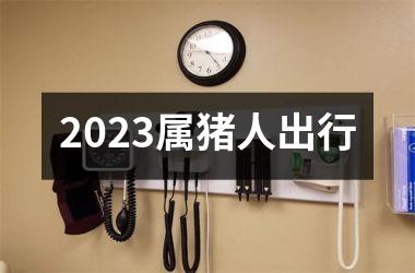 2025属猪人出行