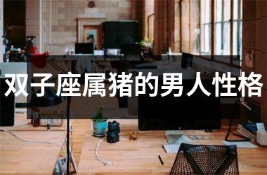 双子座属猪的男人性格