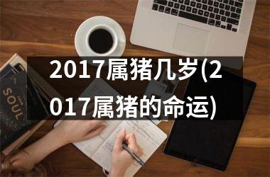2017属猪几岁(2017属猪的命运)