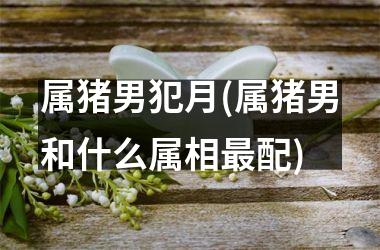 属猪男犯月(属猪男和什么属相配)
