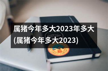 属猪今年多大2025年多大(属猪今年多大2025)