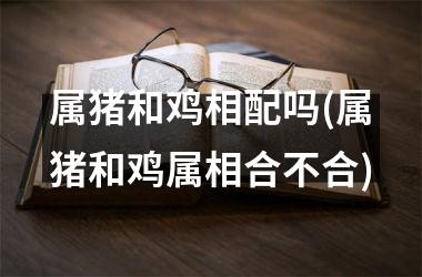 属猪和鸡相配吗(属猪和鸡属相合不合)