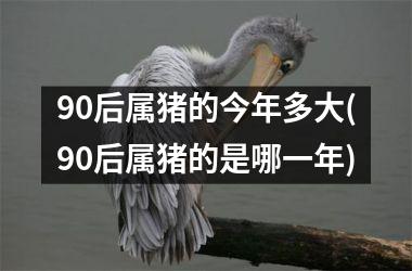 90后属猪的今年多大(90后属猪的是哪一年)
