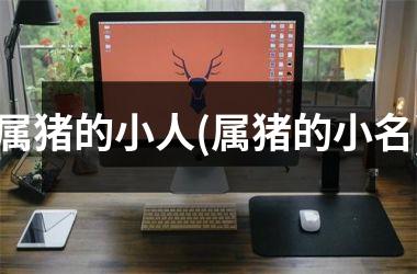 属猪的小人(属猪的小名)