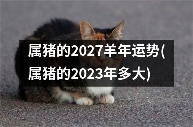 属猪的2027羊年运势(属猪的2025年多大)