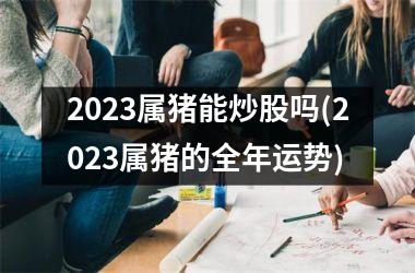 <h3>2025属猪能炒股吗(2025属猪的全年运势)