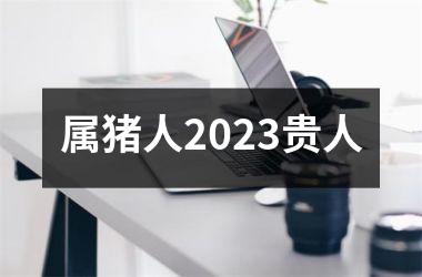<h3>属猪人2025贵人