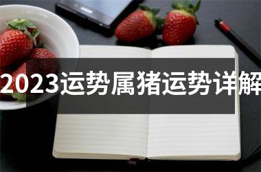 2025运势属猪运势详解