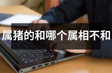 属猪的和哪个属相不和