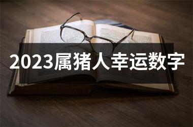 2025属猪人幸运数字