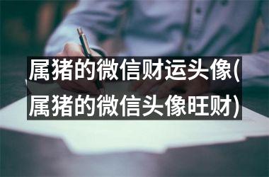 属猪的微信财运头像(属猪的微信头像旺财)