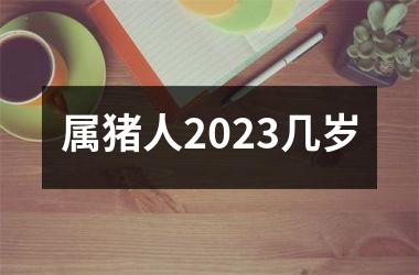 属猪人2025几岁