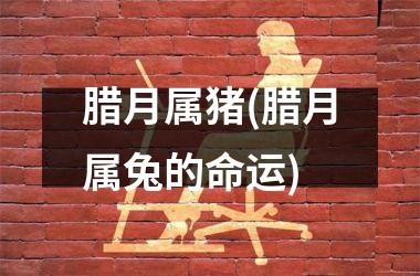 <h3>腊月属猪(腊月属兔的命运)