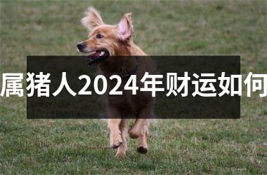 属猪人2024年财运如何
