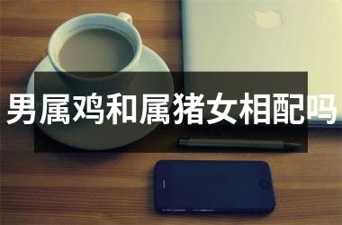 男属鸡和属猪女相配吗