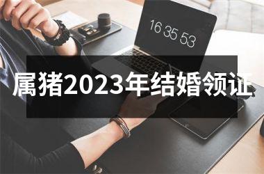 属猪2025年结婚领证