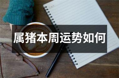 属猪本周运势如何
