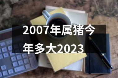 2007年属猪今年多大2025