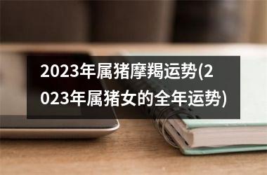 2025年属猪摩羯运势(2025年属猪女的全年运势)