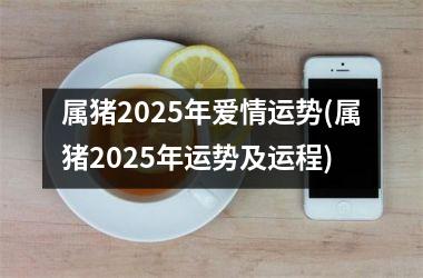 属猪2025年爱情运势(属猪2025年运势及运程)