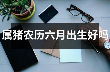 属猪农历六月出生好吗