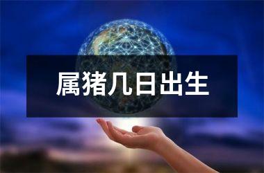 属猪几日出生