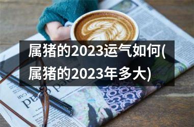 属猪的2025运气如何(属猪的2025年多大)