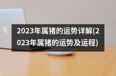 2025年属猪的运势详解(2025年属猪的运势及运程)