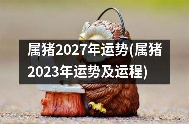 <h3>属猪2027年运势(属猪2025年运势及运程)
