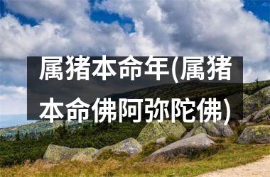 属猪本命年(属猪本命佛阿弥陀佛)