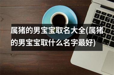 属猪的男宝宝取名大全(属猪的男宝宝取什么名字好)