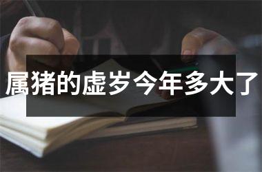 属猪的虚岁今年多大了