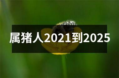 属猪人2025到2025