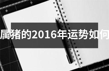 属猪的2016年运势如何