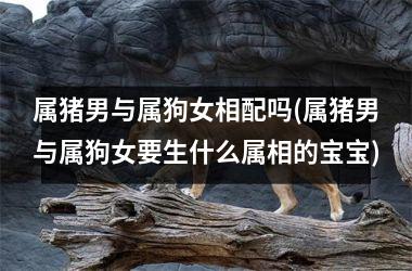 属猪男与属狗女相配吗(属猪男与属狗女要生什么属相的宝宝)