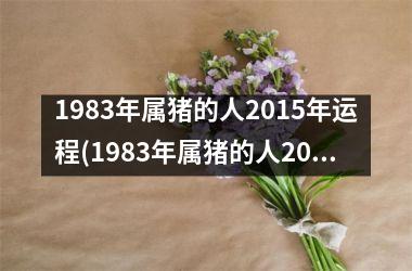 <h3>1983年属猪的人2015年运程(1983年属猪的人2025年运势及运程)