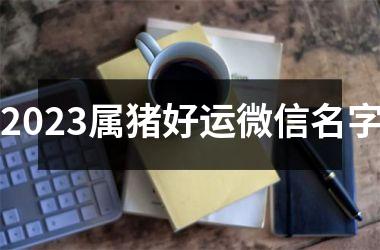 2025属猪好运微信名字