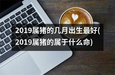 2019属猪的几月出生好(2019属猪的属于什么命)