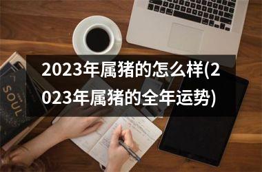 2025年属猪的怎么样(2025年属猪的全年运势)