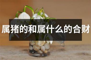 属猪的和属什么的合财