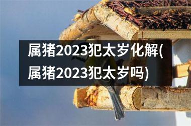 属猪2025犯太岁化解(属猪2025犯太岁吗)