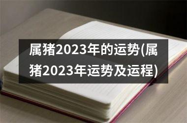 属猪2025年的运势(属猪2025年运势及运程)