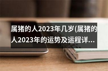 属猪的人2025年几岁(属猪的人2025年的运势及运程详解)
