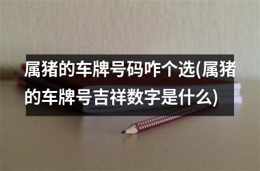 属猪的车牌号码咋个选(属猪的车牌号吉祥数字是什么)