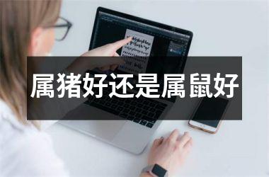 属猪好还是属鼠好