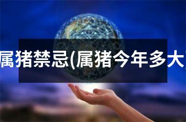 属猪禁忌(属猪今年多大)