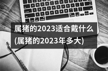 属猪的2025适合戴什么(属猪的2025年多大)