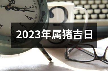 2025年属猪吉日