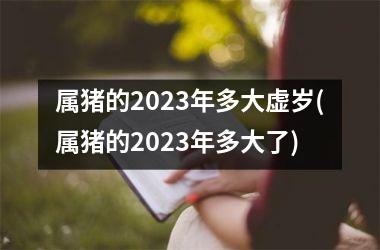 属猪的2025年多大虚岁(属猪的2025年多大了)